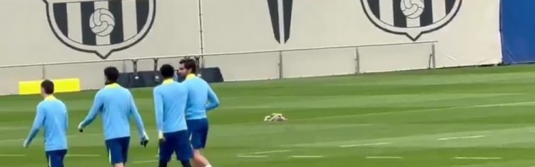 记者：费兰·托雷斯恢复训练，佩德里、克里斯滕森和加维缺席